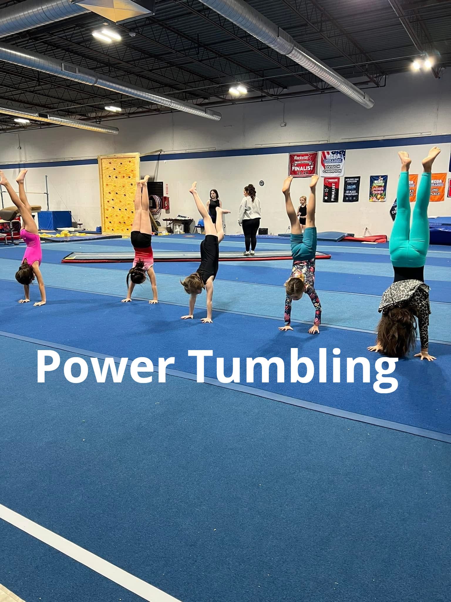A group of children are doing handstands in a gym.