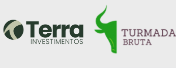 Logo Terra Investimentos