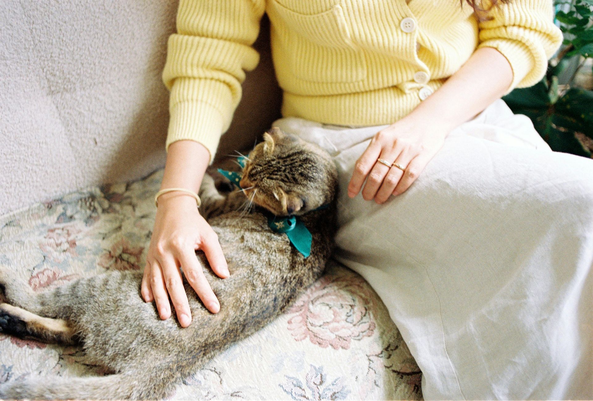 Westbrook Veterinary Surgery