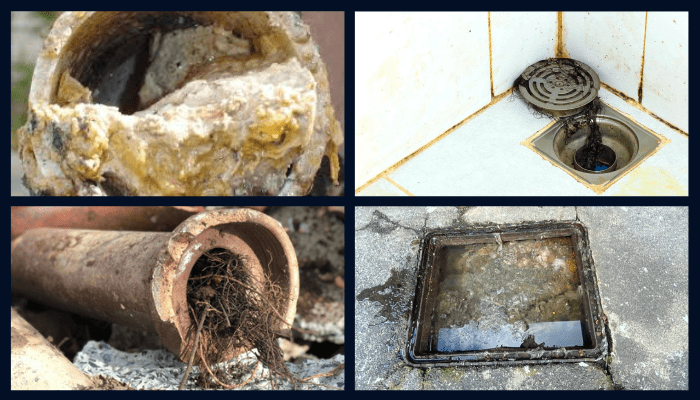 common causes of blocked drains including grease buildup in a kitchen pipe, hair clogging a bathroom drain, tree roots invading a sewer pipe, and an overflowing outdoor drain