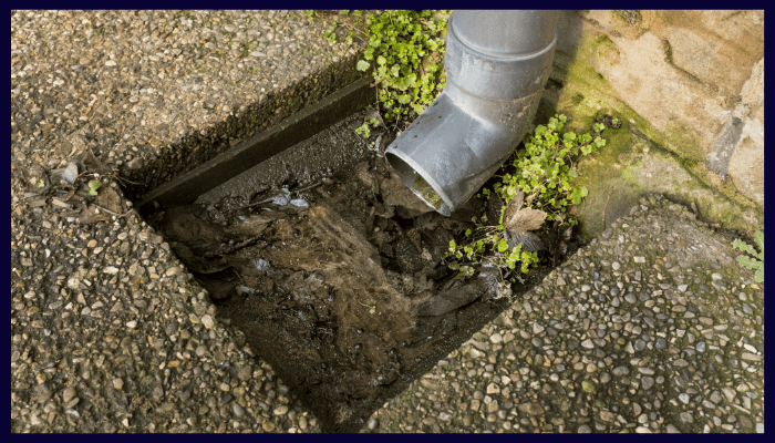 Failure Rate of DIY vs Professional Blocked Drain Repairs