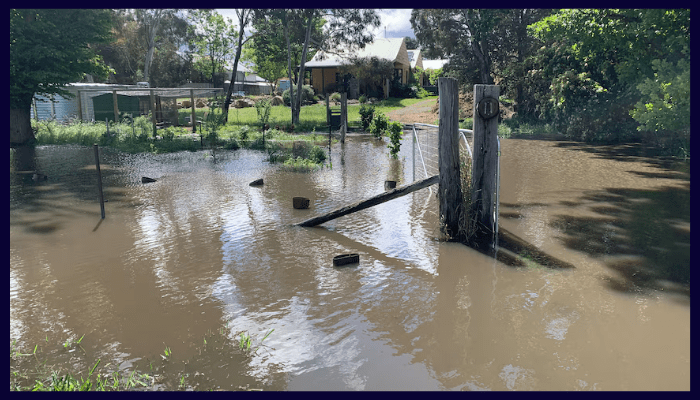 Flooded Canberra yard after heavy rainfall showing poor drainage patterns