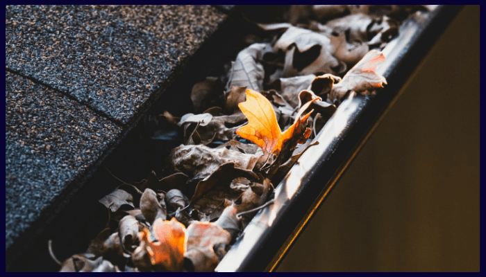 Common Signs Your Gutters and Downpipes Need Replacing