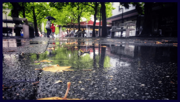 Top 12 Canberra Suburbs with the Worst Drain Problems