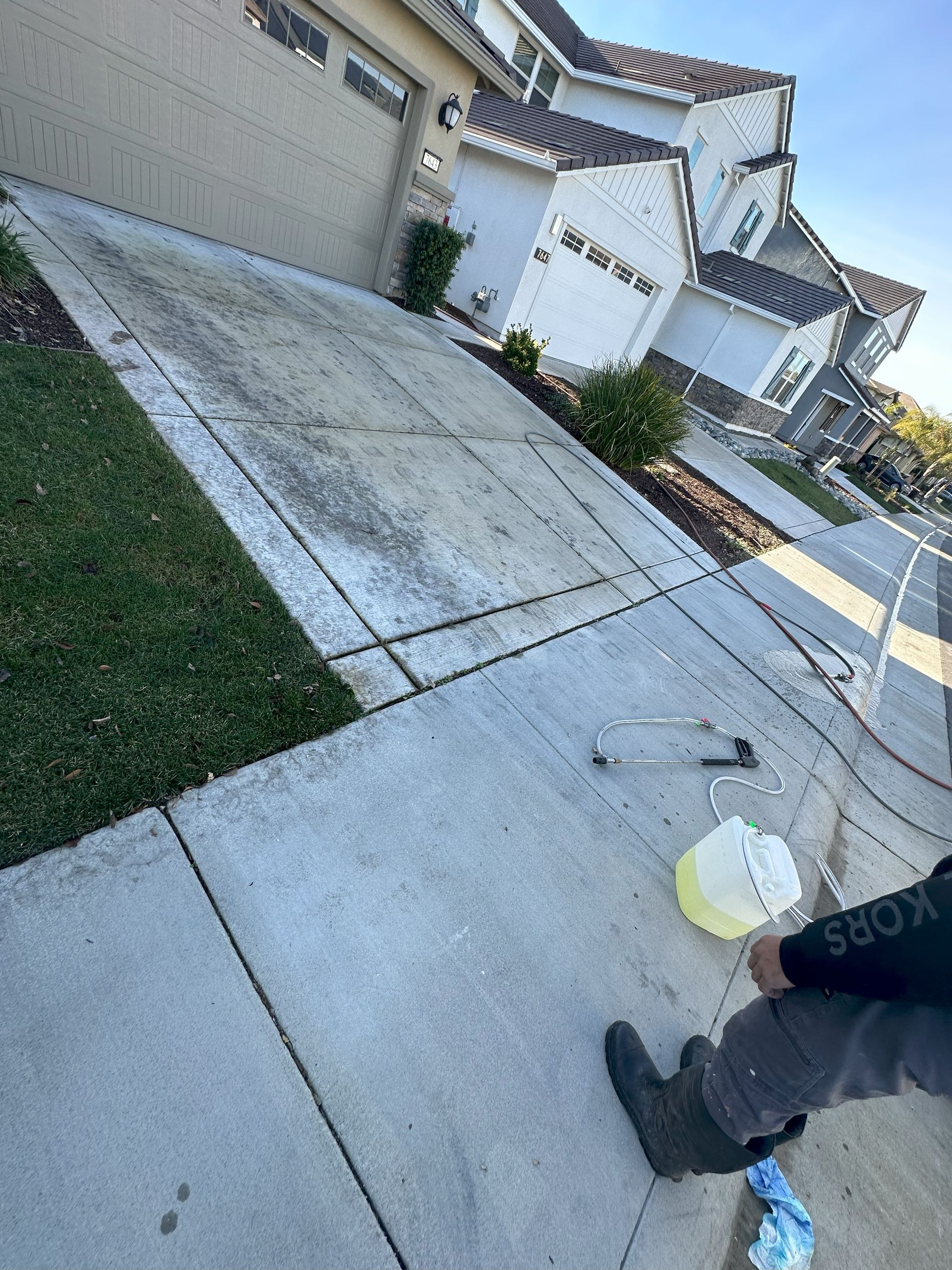 Before House Driveway Cleaning