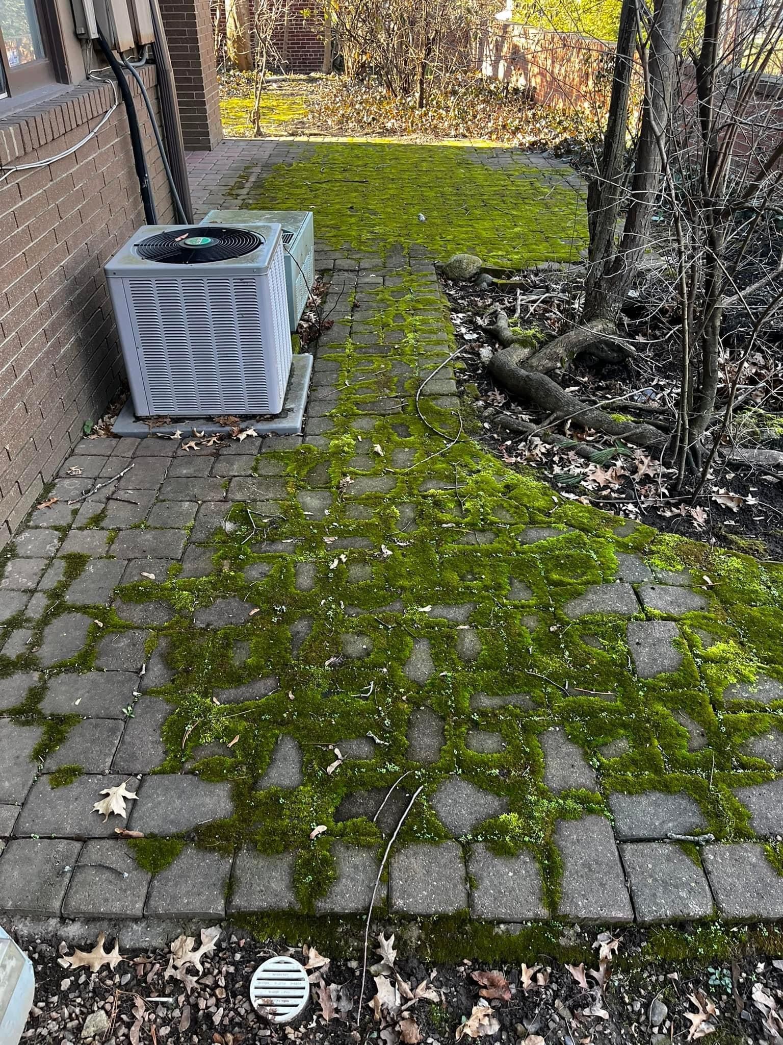 Before Driveway Cleaning