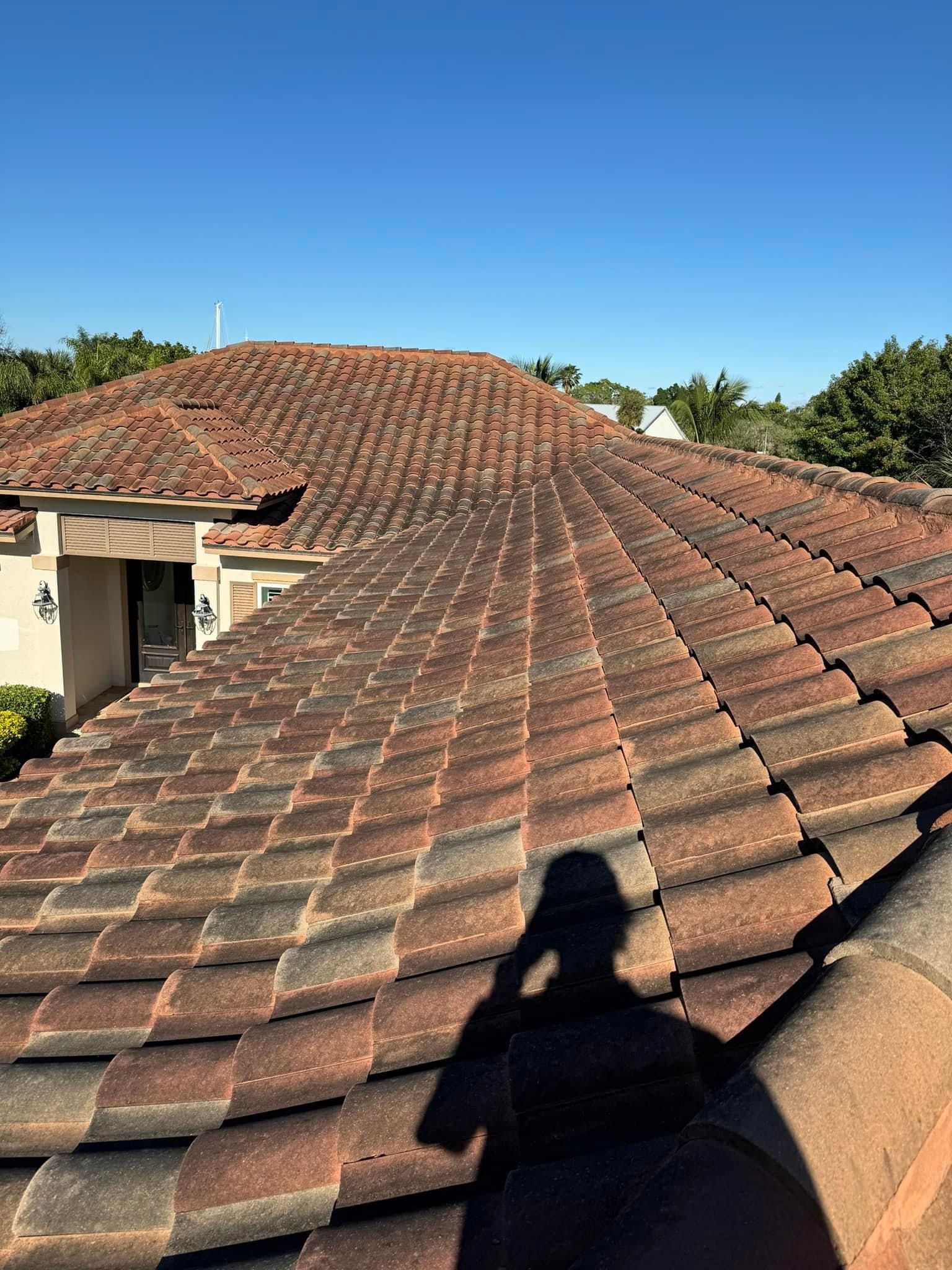 Before Roof Cleaning Citrus Heights CA