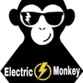 Black monkey wearing sunglasses with lightning bolt detail, logo for Electric Monkey.