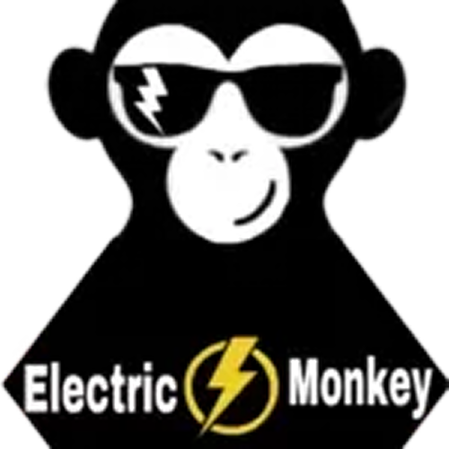 Black monkey wearing sunglasses with lightning bolt detail, logo for Electric Monkey.
