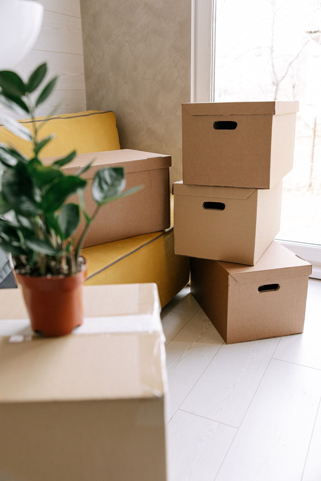 Cardboard boxes stacked near a window, with a potted plant in the foreground.