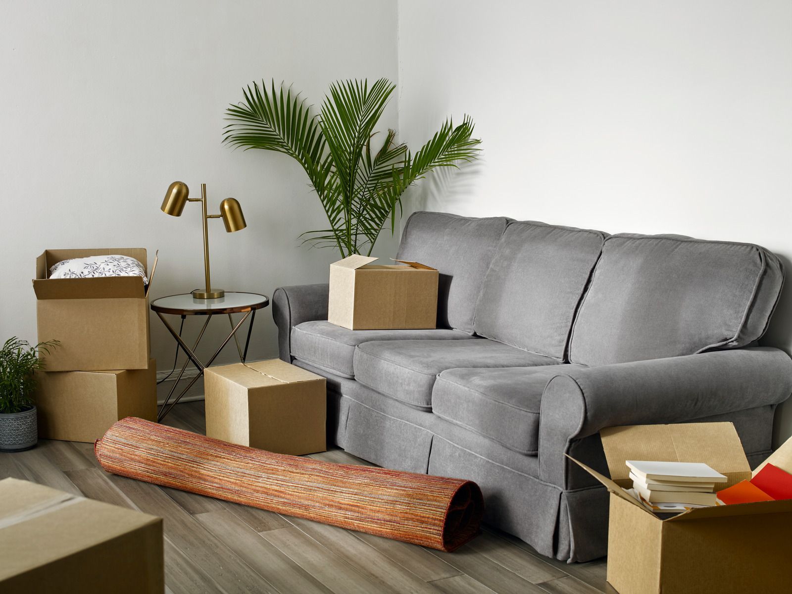 A living room with a gray couch, boxes, a plant, and a rolled-up rug, indicating a move.