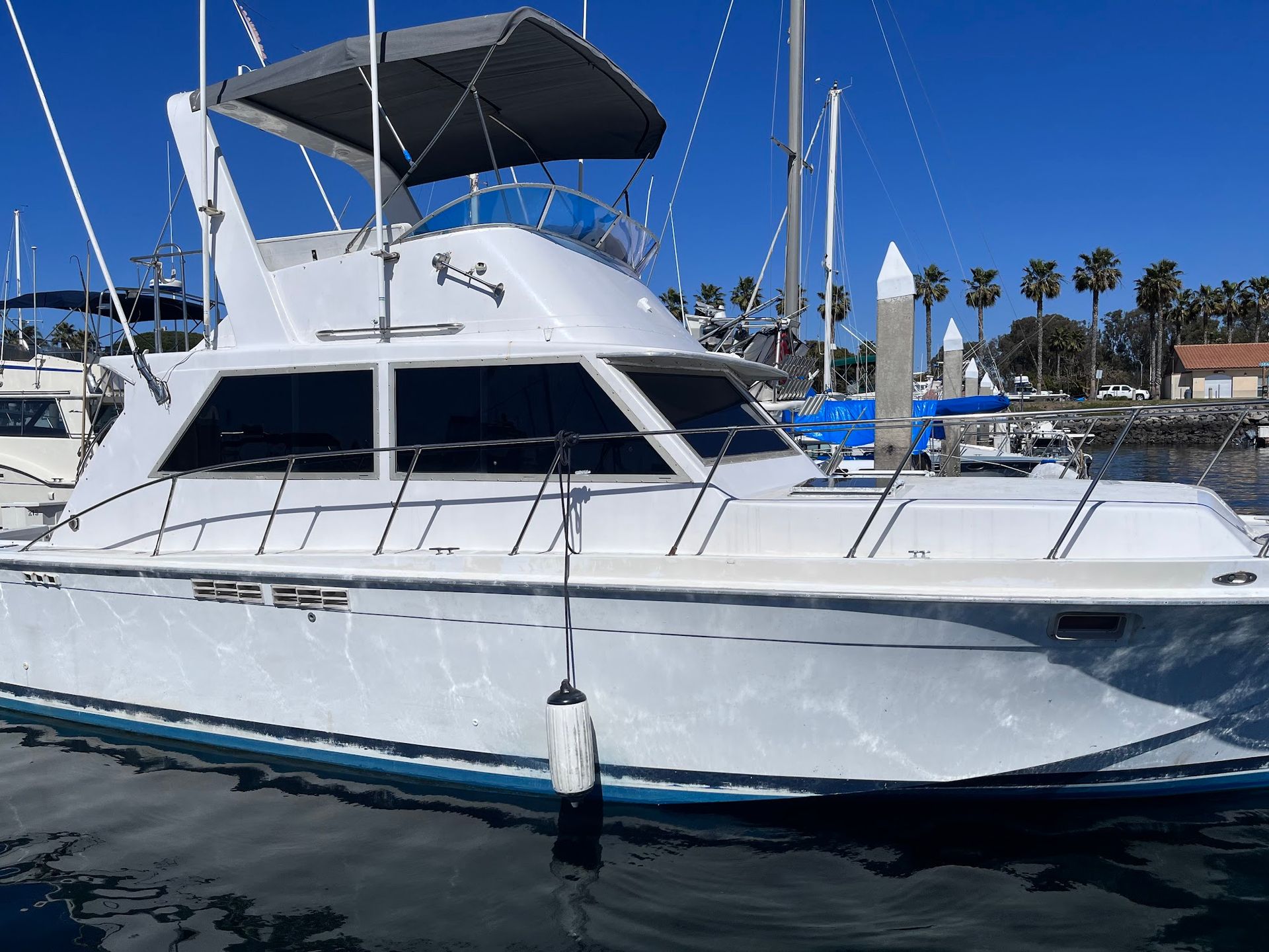 White yacht at dock with blue trim, palm trees in background.