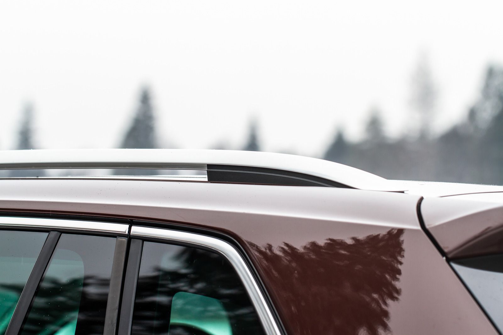 Brown SUV, chrome roof rack, overcast sky with trees in the background.