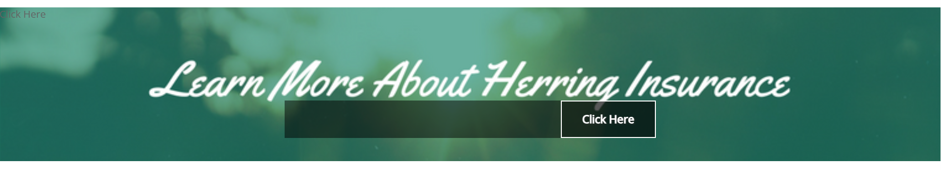 A green banner with the text