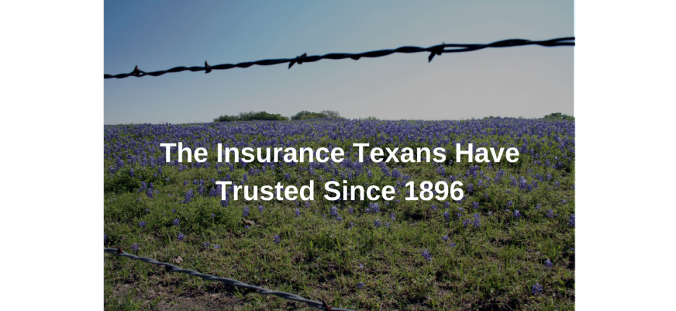 A field of bluebonnets behind a barbed wire fence with the text: 