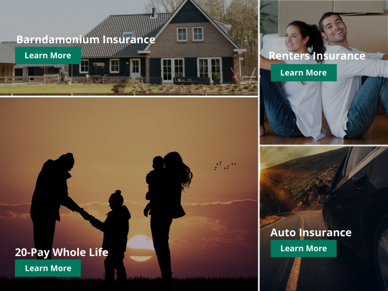A collage of insurance service options: barndominium, renters, 20-pay whole life, and auto insurance with learn more buttons.