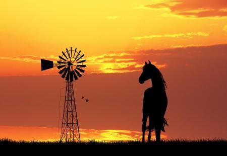 A silhouette of a horse stands near a windmill against a vibrant orange sunset.