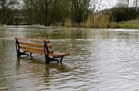 A wooden park bench partially submerged in floodwaters in a landscape with trees and reeds.