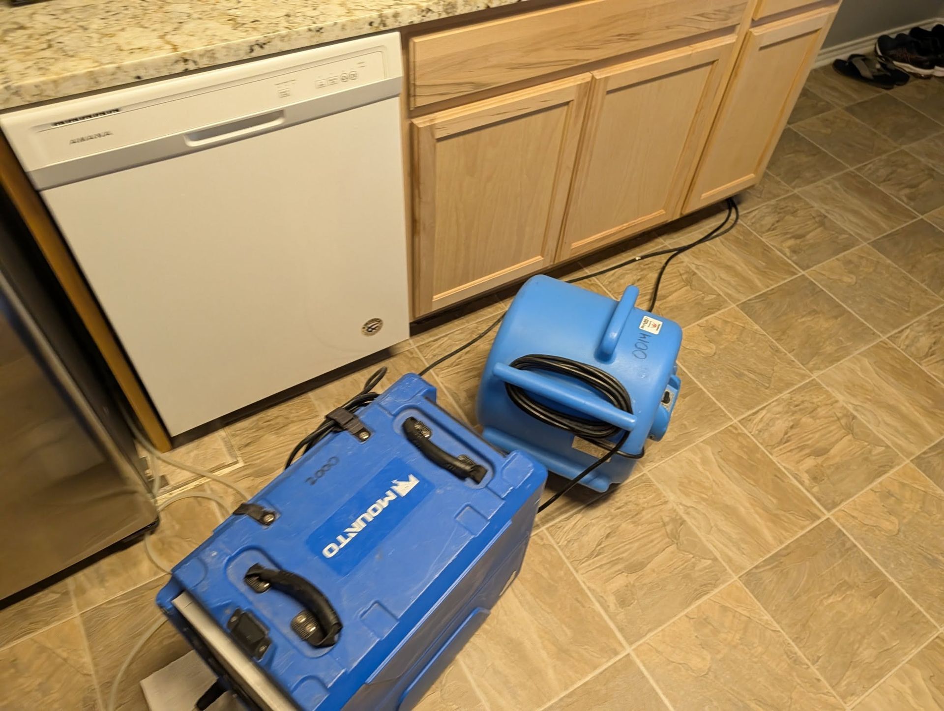 Blue carpet-cleaning machines on a kitchen floor beside cabinets and a dishwasher.
