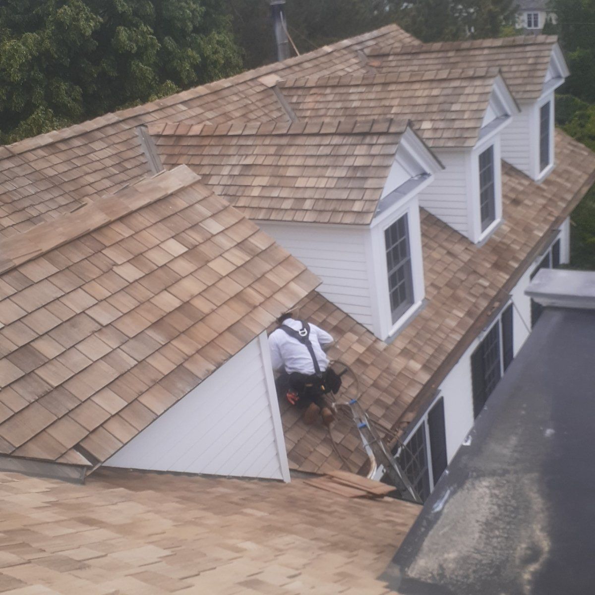 Cedar Roofing Protection LLC, project gallery