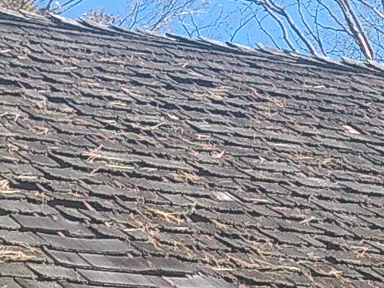 damaged roof 11