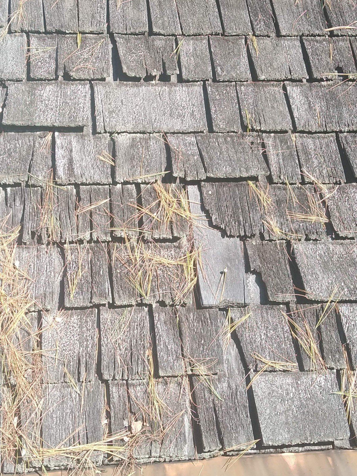 worker on the roof 8