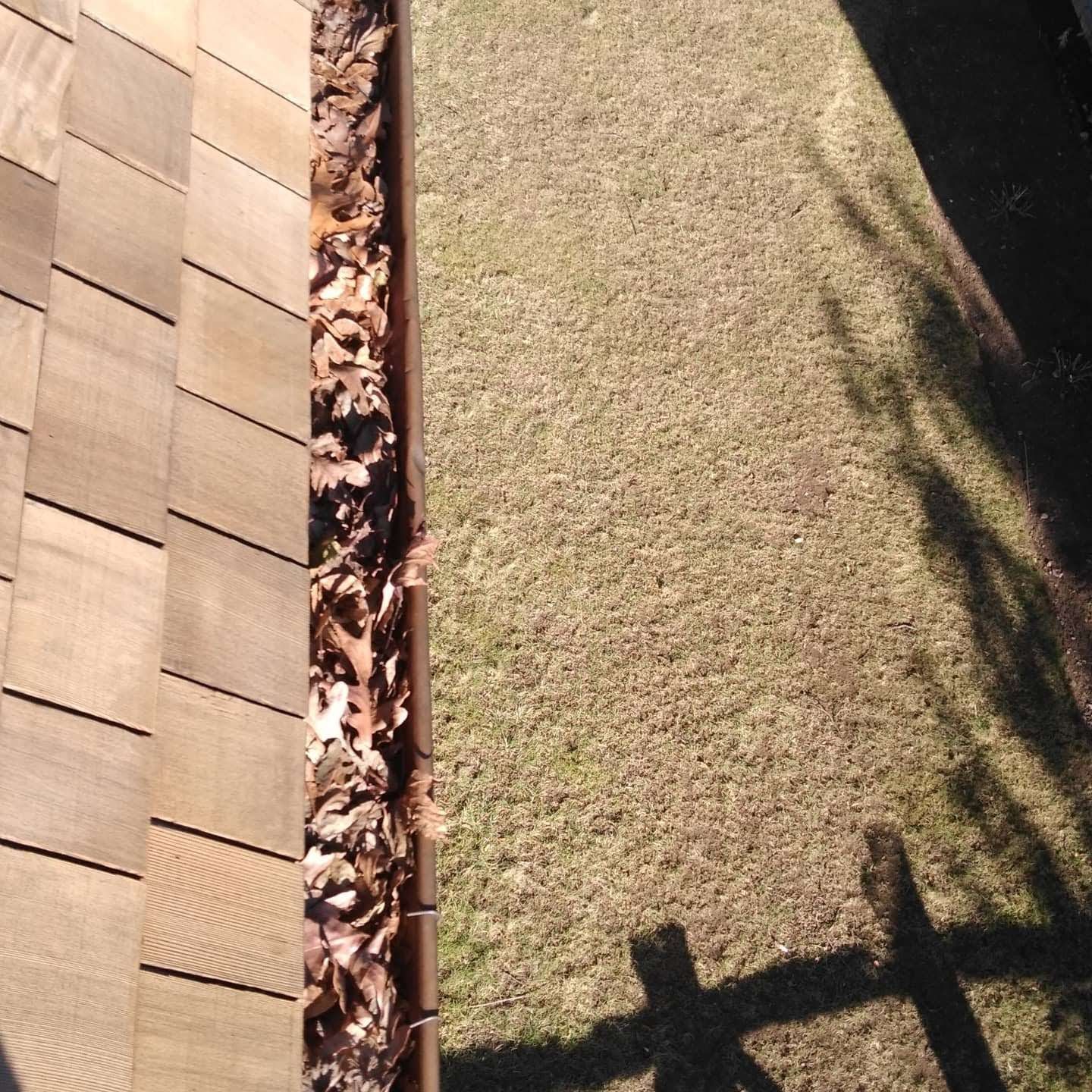 dry leaves in the gutter