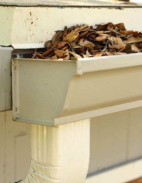 Leaf clogged gutter and downspout