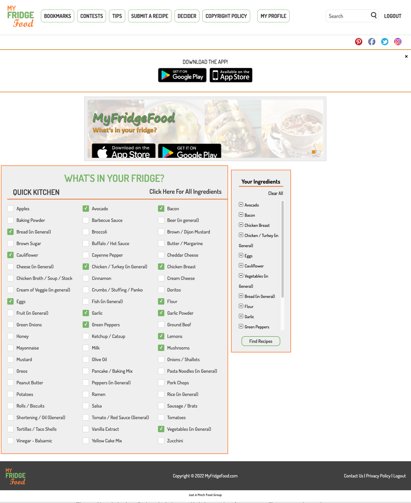 Screenshot of designed website home page for My Fridge Food
