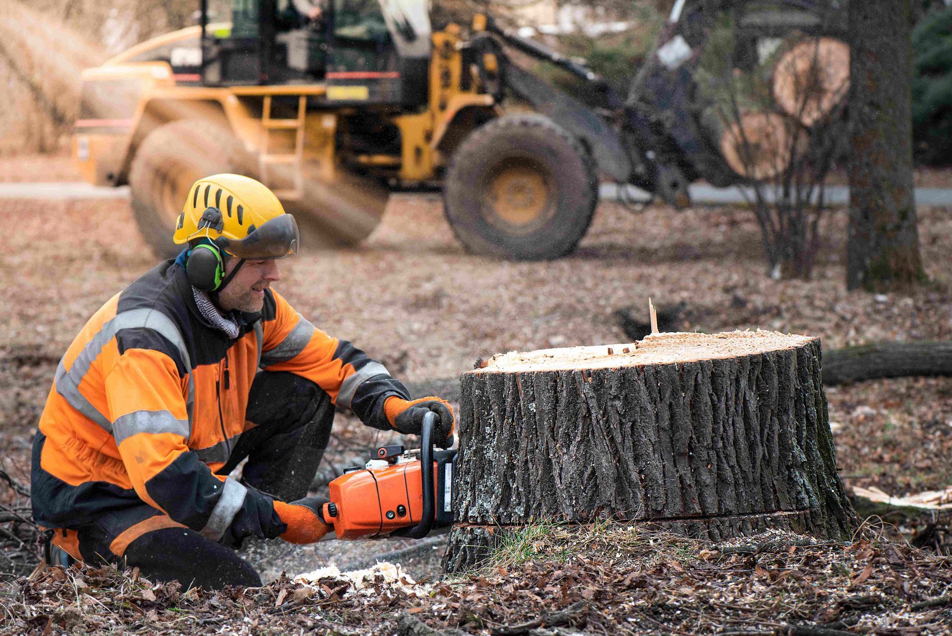 a man is cutting a tree stump with a chainsaw