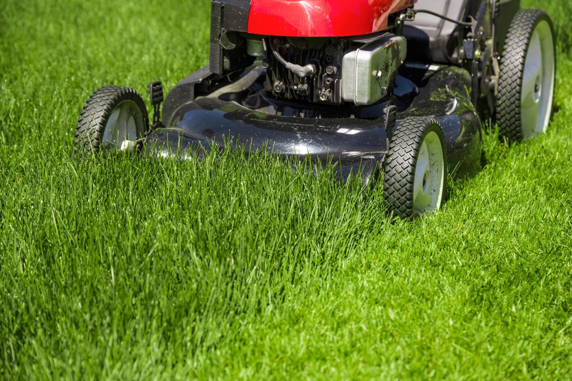 a person is riding a lawn mower on a lush green lawn