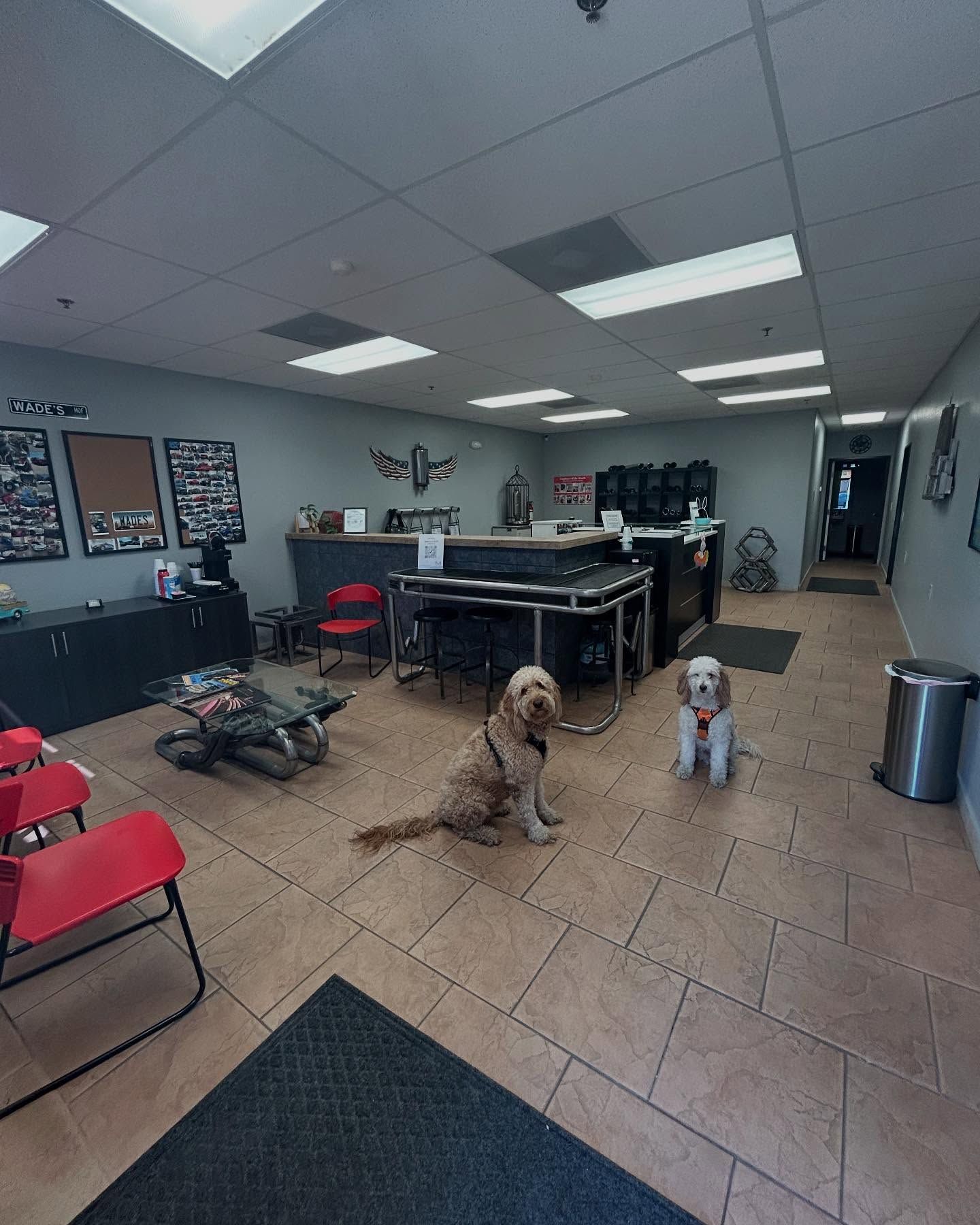 Hank and Ollie | Wade's Automotive & Exhaust
