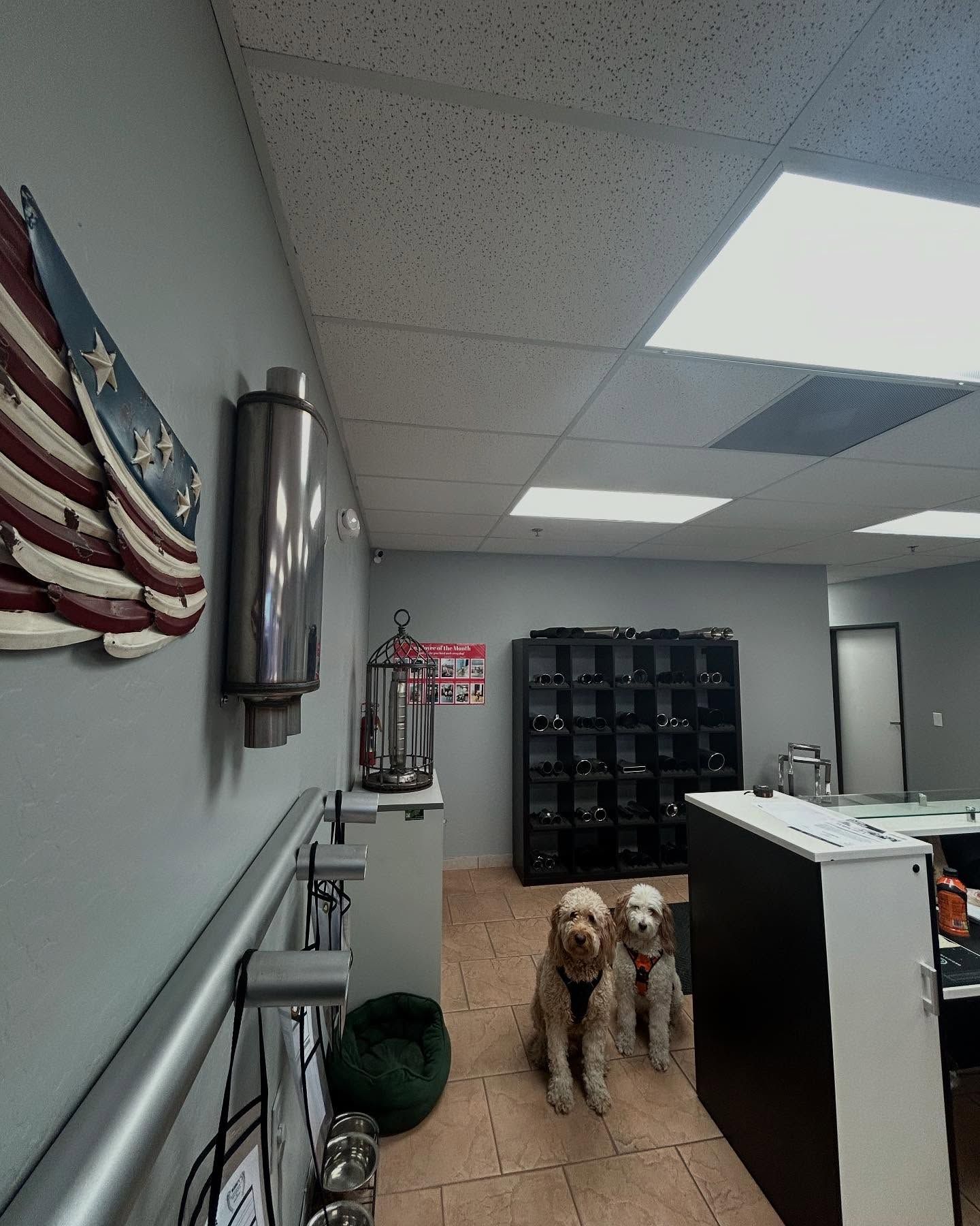 Hank and Ollie | Wade's Automotive & Exhaust