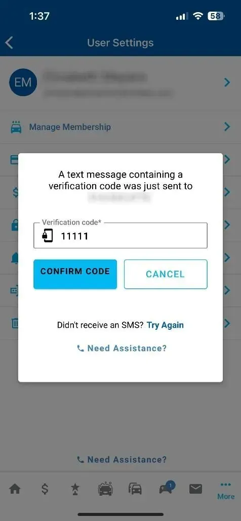 Mobile app screen showing a verification code input box. Input is 