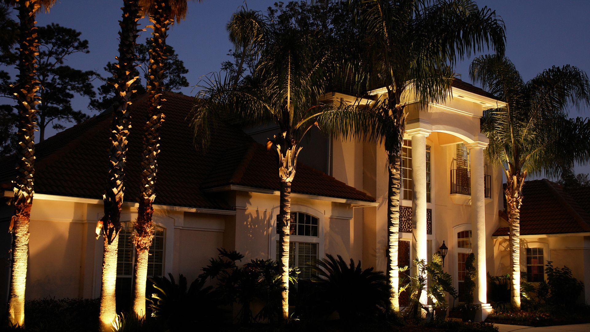 A large house is lit up at night with palm trees in front of it