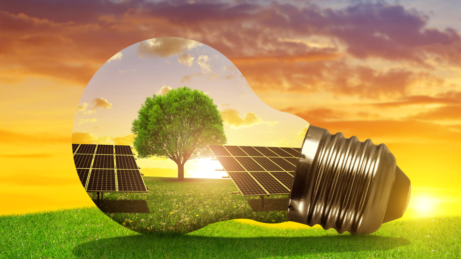 A light bulb with a tree and solar panels inside of it.