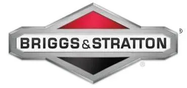 The briggs and stratton logo is on a white background.
