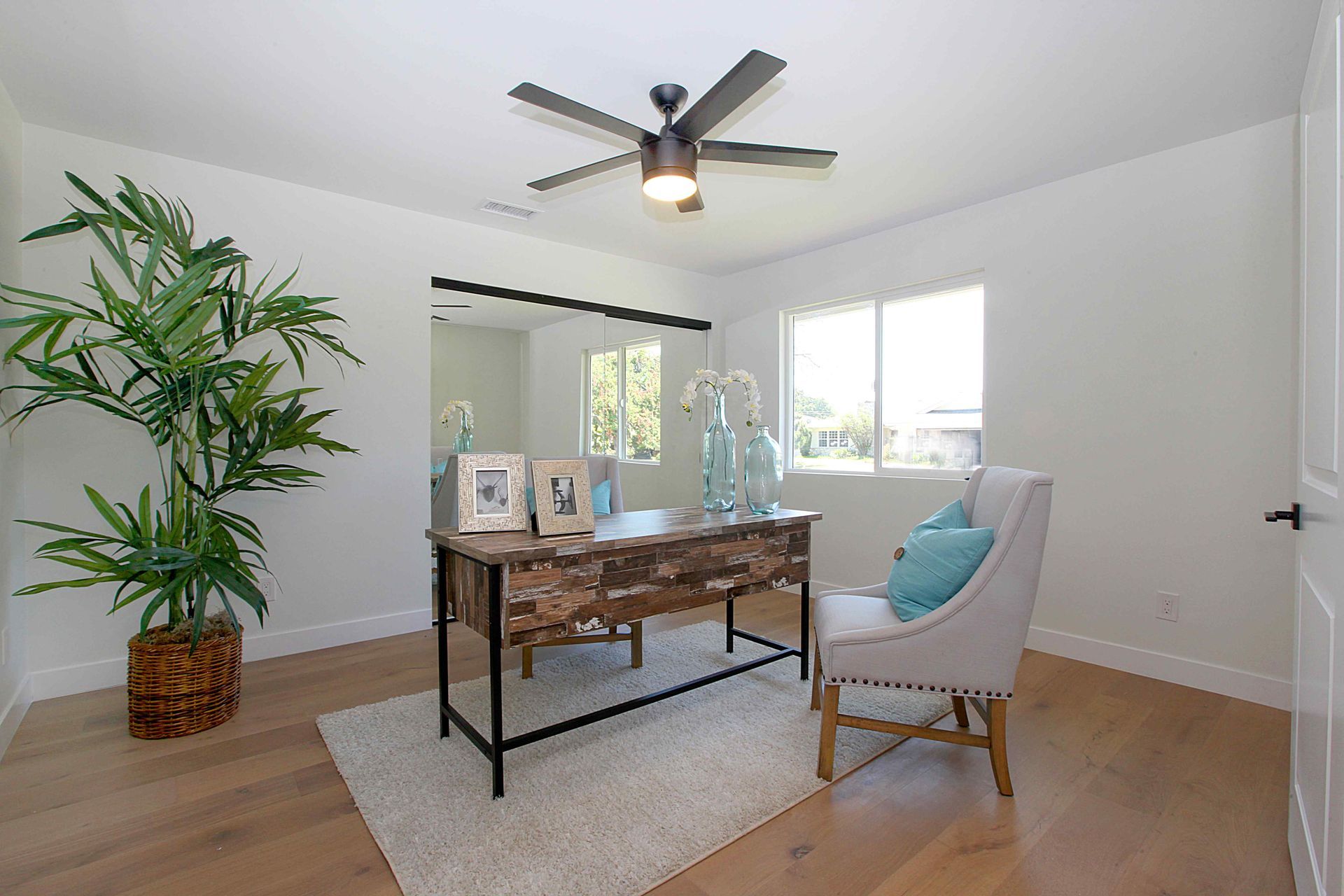 Home office with desk, chair, large plant, and two windows.