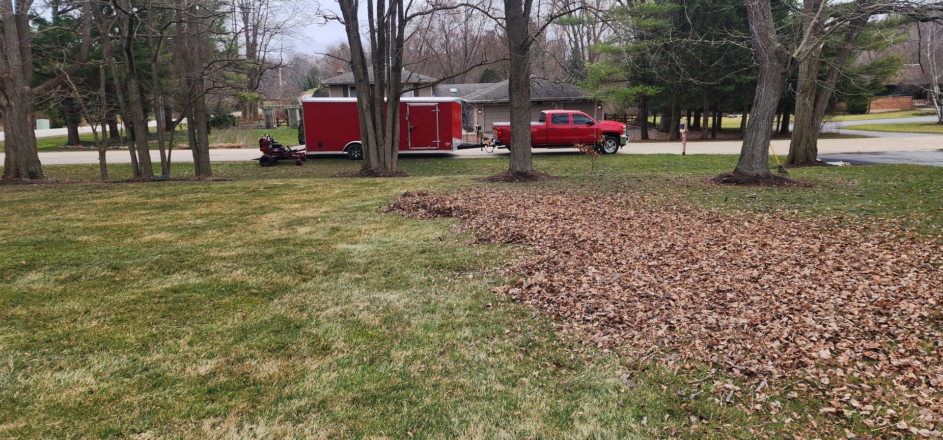 A lawn with leaves being cleared, red truck and trailer in the background, trees in the middle.