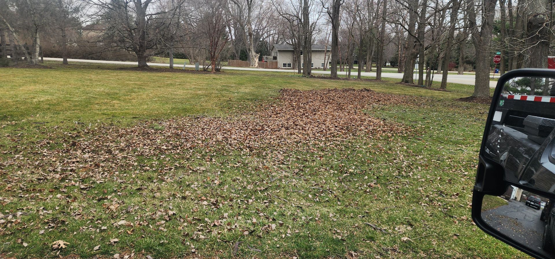 Pile of brown leaves on a grassy lawn. Trees and a building in the background. A side mirror is visible on the right.