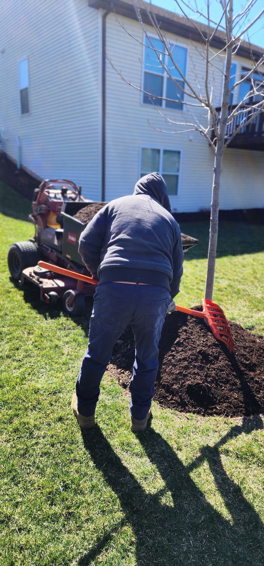 A person mulching around a tree in a yard next to a house, with a trencher nearby.
