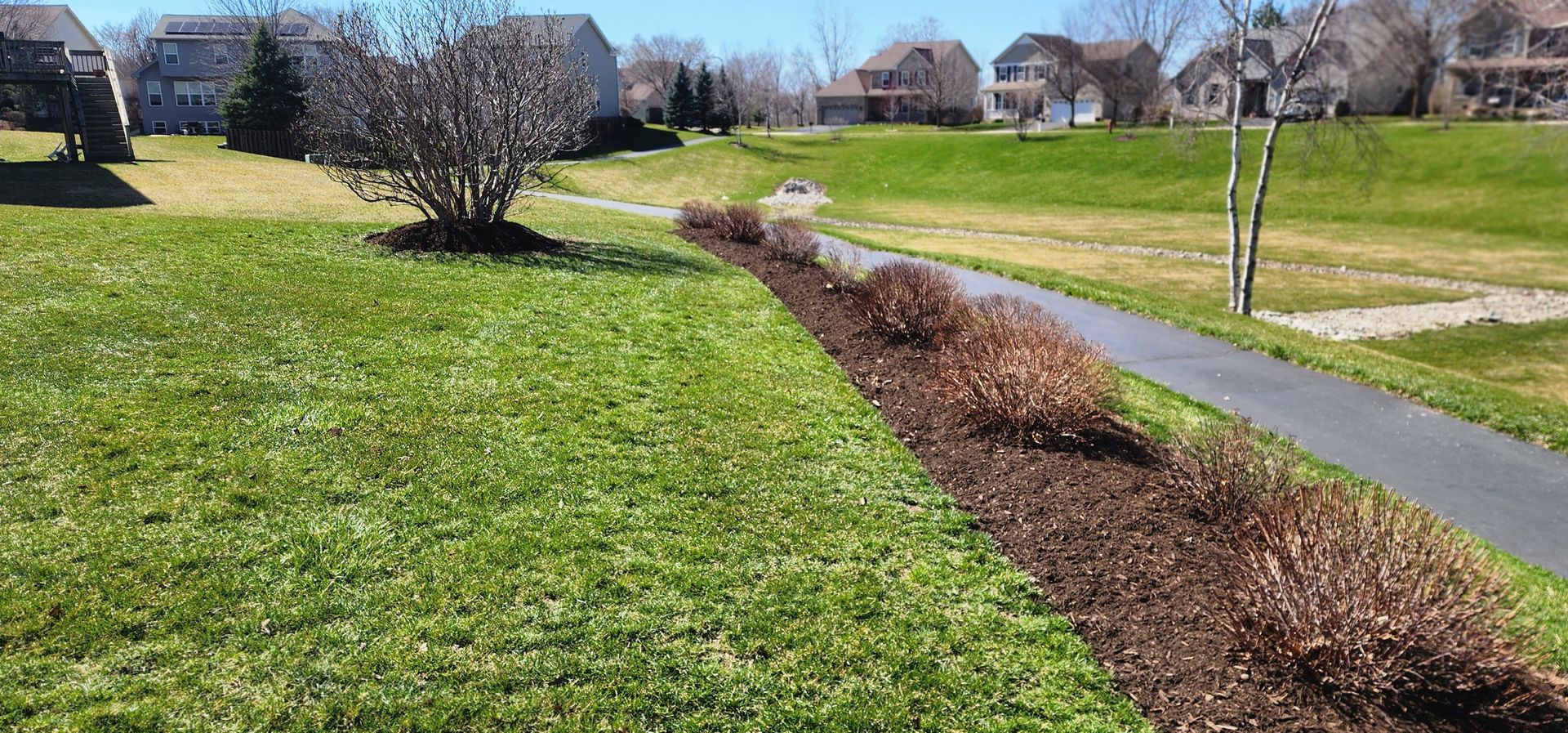 A green lawn, brown mulch bed with bushes, and a paved walkway in front of houses on a sunny day.