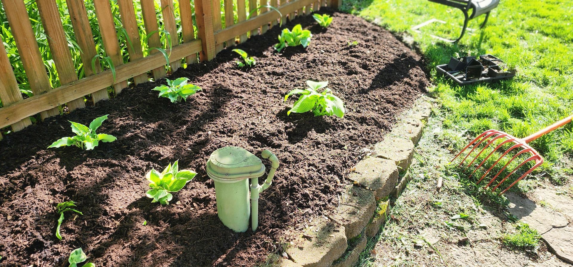 Garden bed with plants, fence, and a watering can on a sunny day.