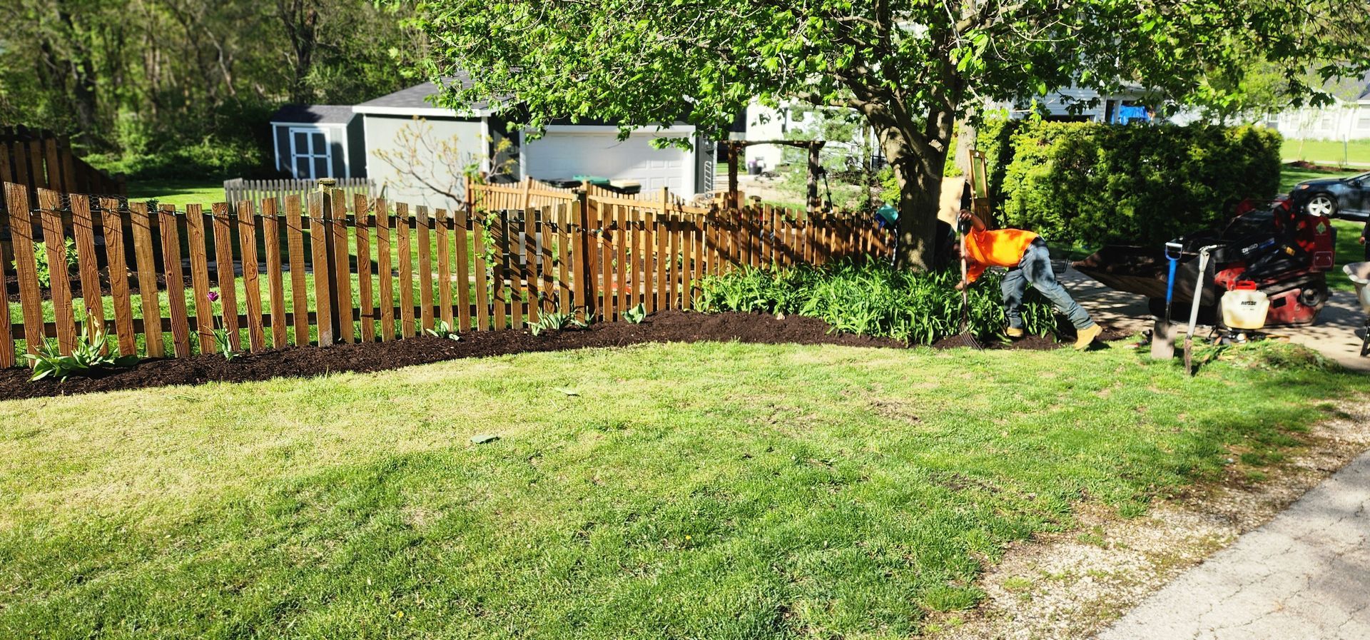 A wooden fence borders a grassy yard, with a shed and trees in the background. Gardening tools are on the right.