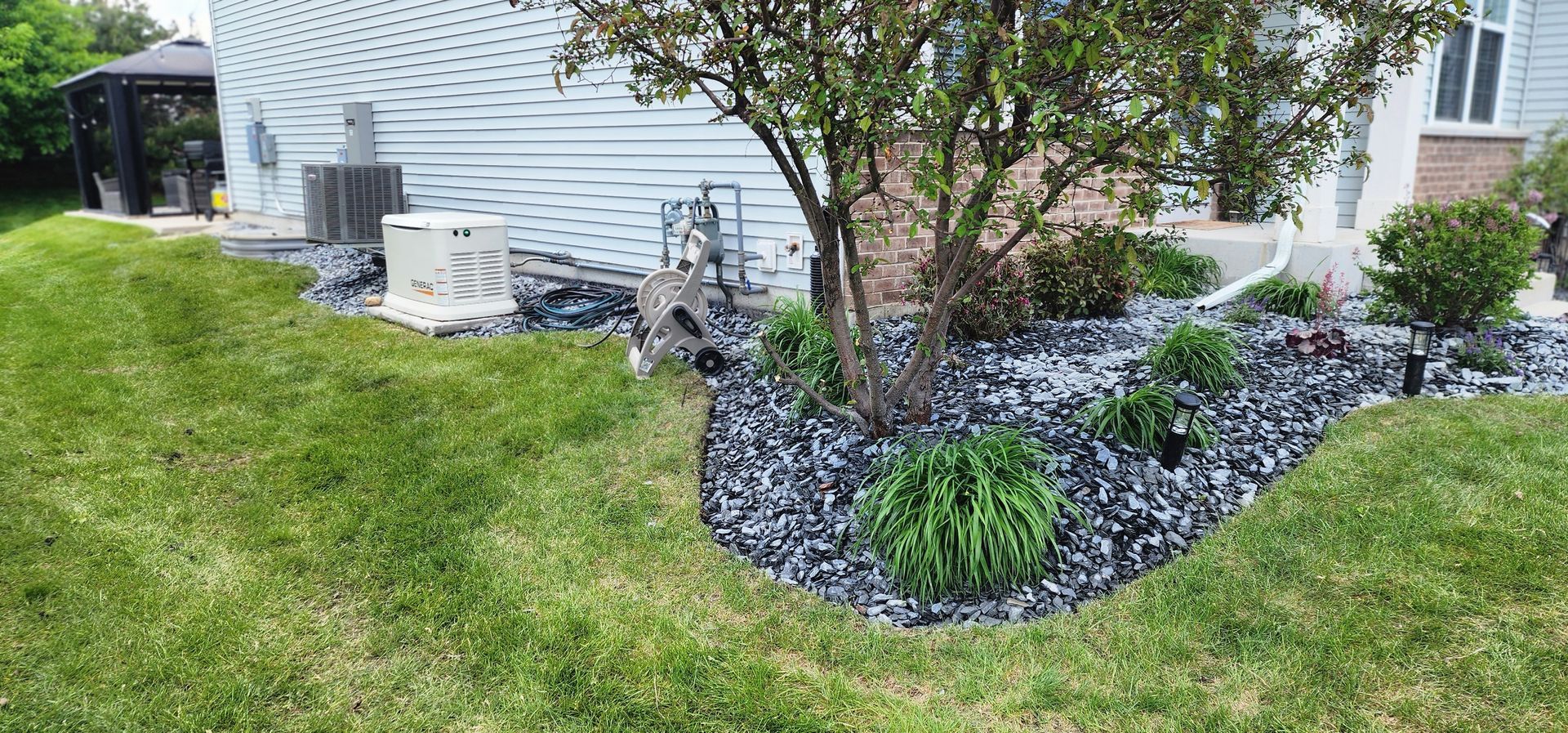 Lawn with a tree surrounded by black rocks and small plants, next to a house.