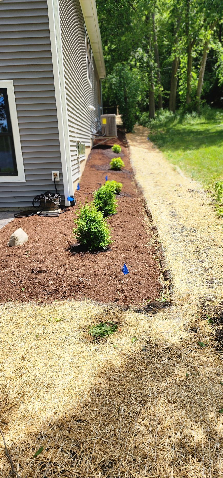 A house exterior with a mulch bed of green bushes. A gravel path sits to the right of the bed.