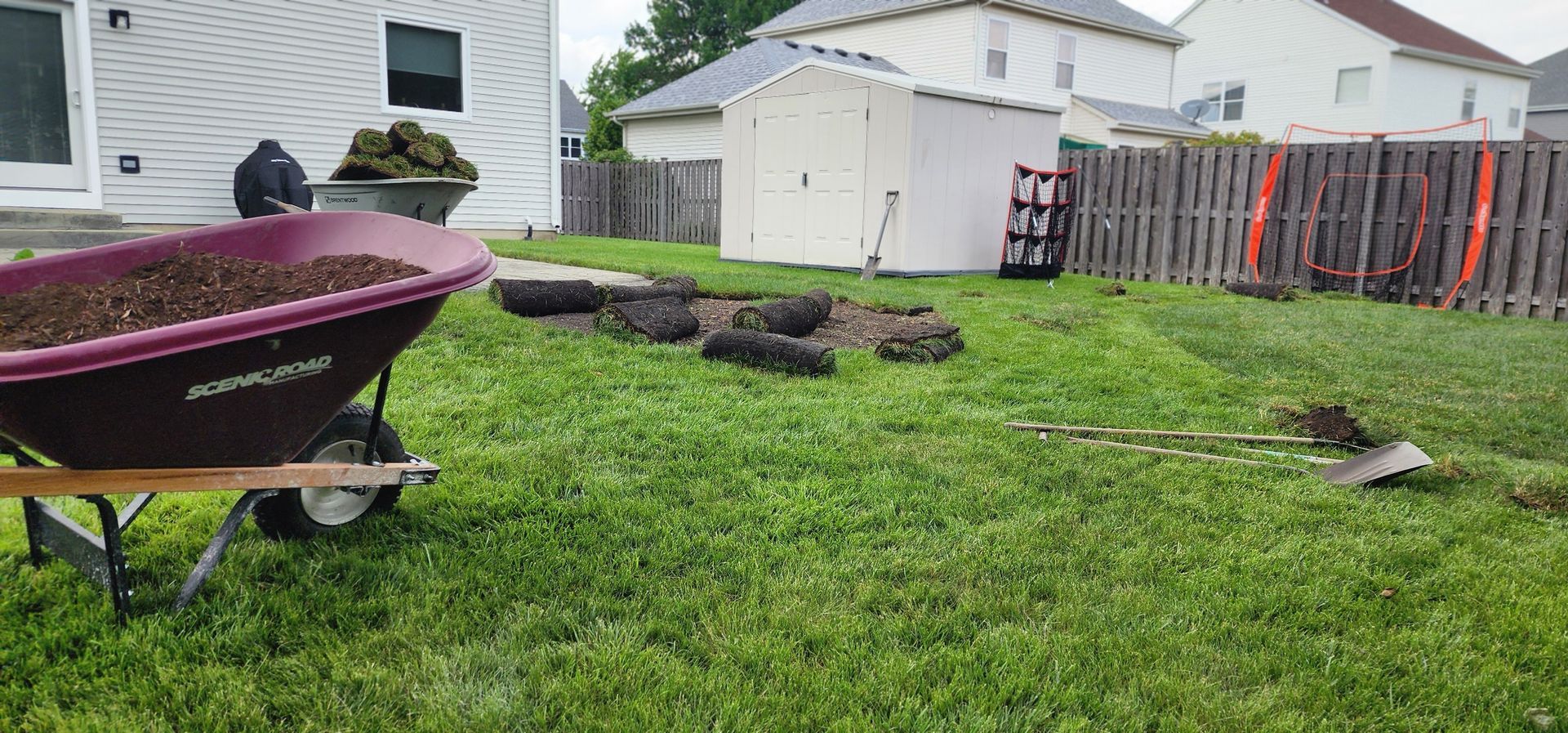 A backyard with a wheelbarrow full of soil, rolls of sod, and a shed.