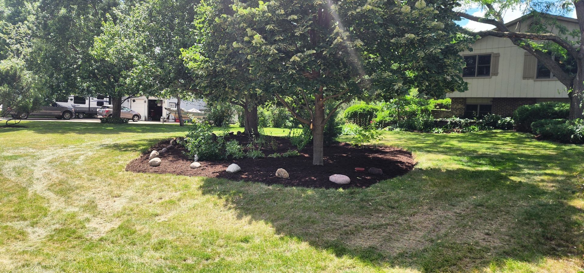Lawn with a mulch-covered area around trees, a house, and a truck. Sunny day.