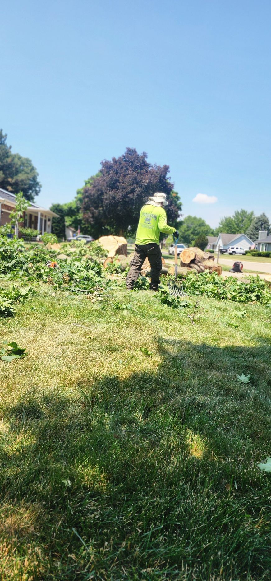 A tree service worker in safety gear is removing tree debris from a lawn on a sunny day.