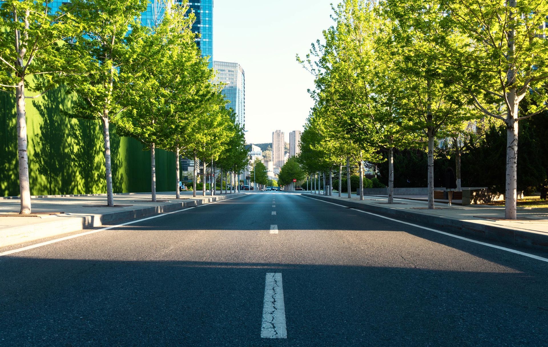 City Street Under the Shade of Trees — Bear, DE — Smith Paving & Contracting, Inc.